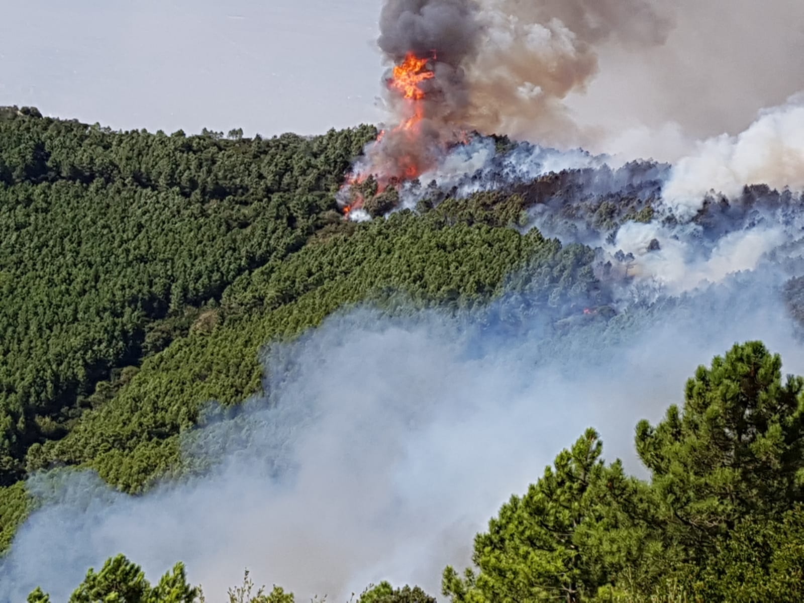 Incendi boschivi censiti nel territorio comunale nell’anno 2023  